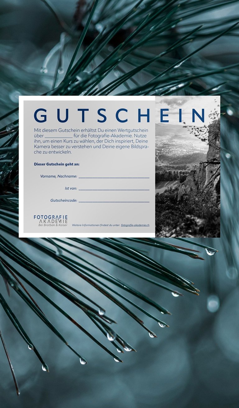 a gift card with a picture of a tree in the background