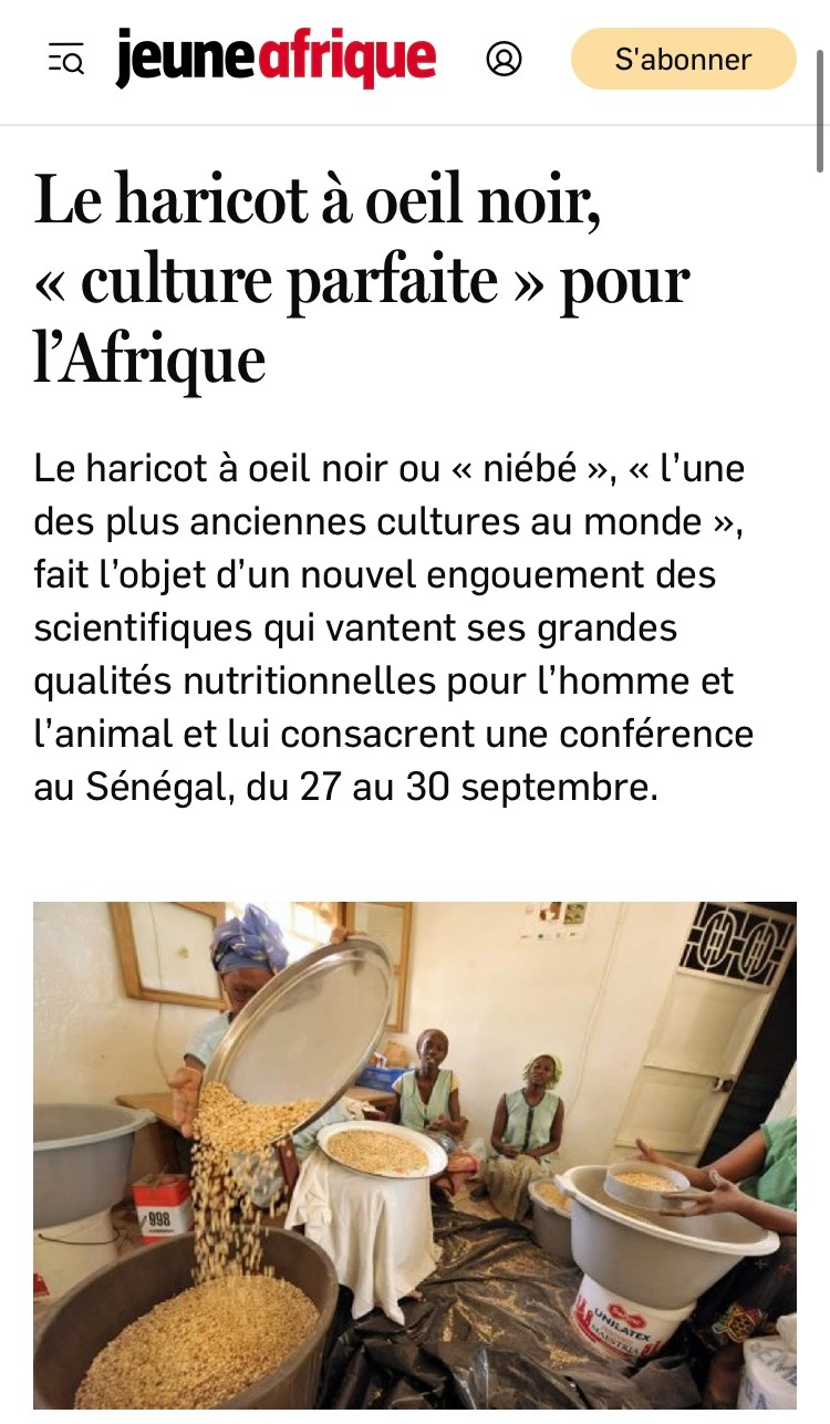 Jeune Afrique Niébé