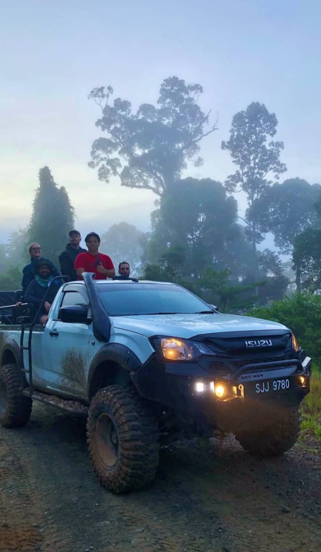 Guests on a 4x4 safari truck during an early morning wildlife tour in Deramakot Forest, Sabah Borneo
