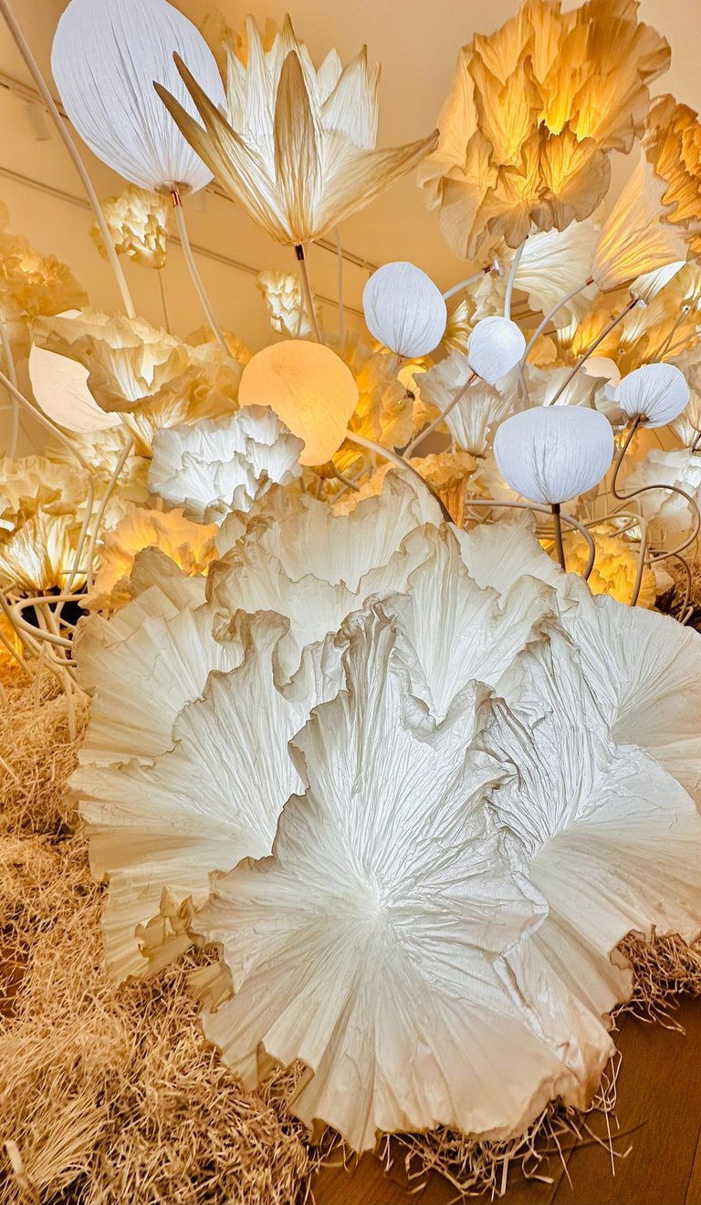 L'Odyssée de Léa @16mag