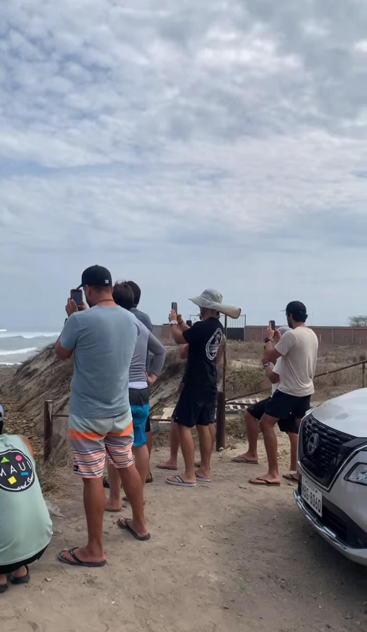 Group of people taking pictures