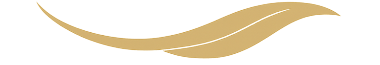 Cabinet Yumaï Transformation organisationnelle vivante et stratégique dirigeants et organisations