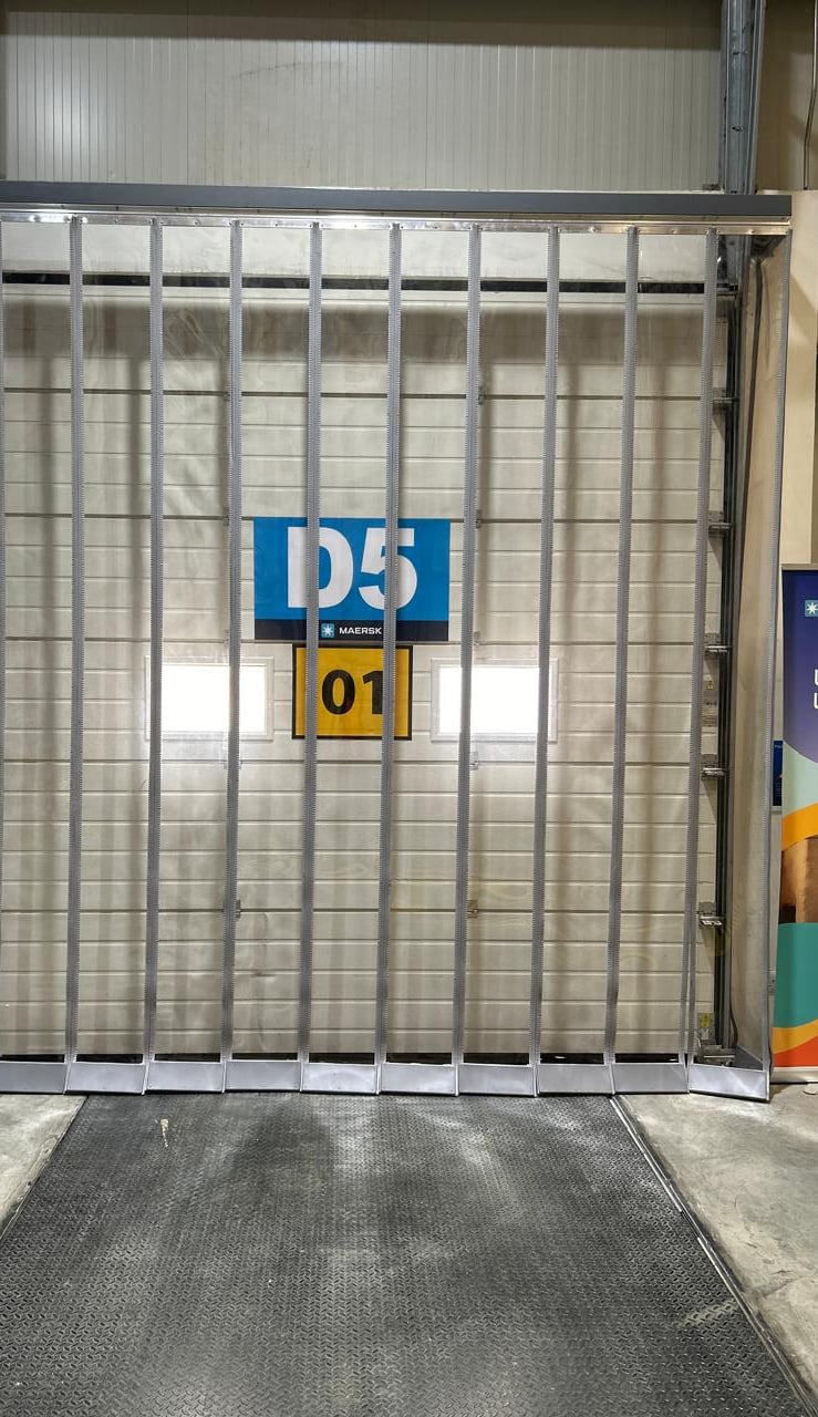 Magnetic Strips door