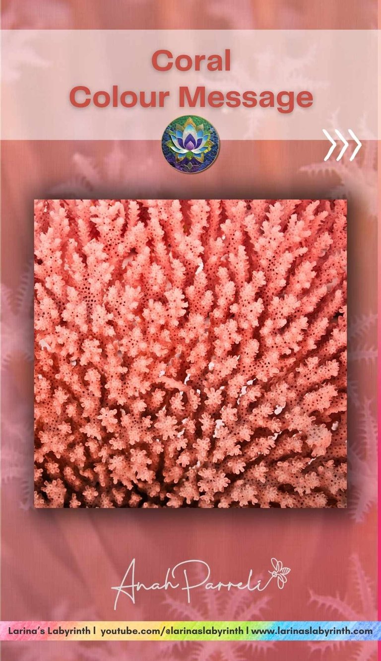 Colour message: Power of Coral Pink. Colour Healing, Color Healing