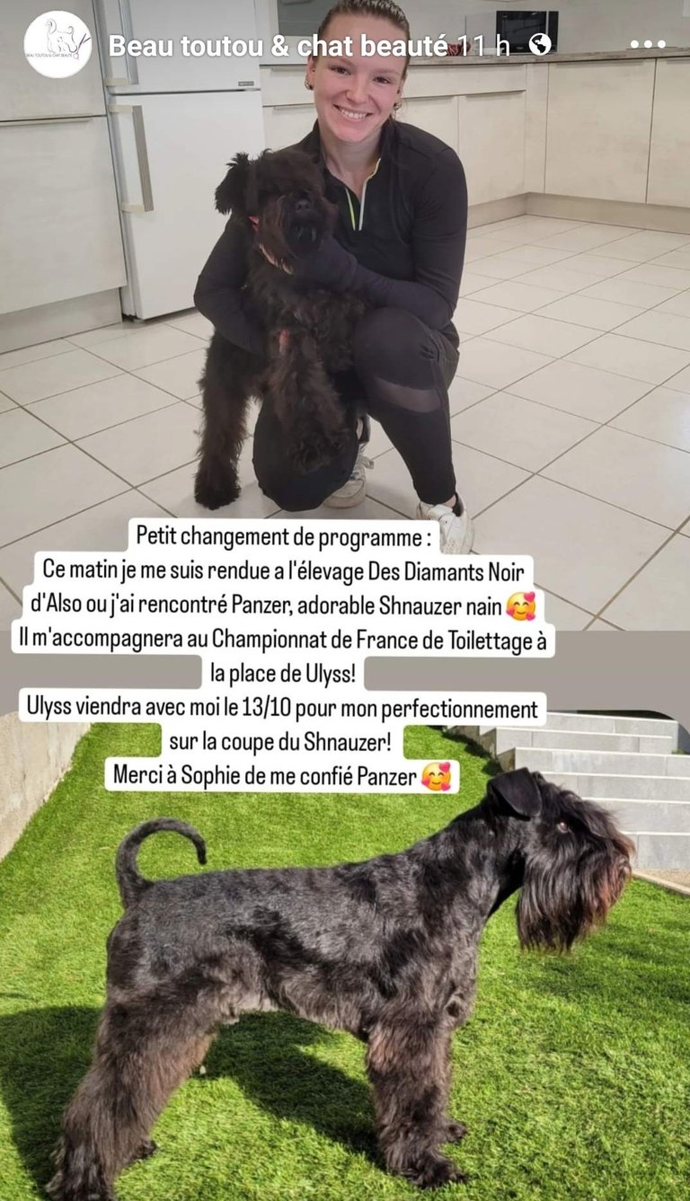 Alexina et Panzer, en route pour le Championnat