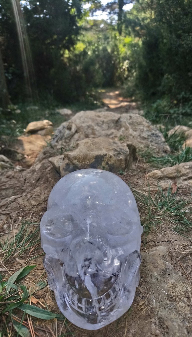 crâne cristal skull