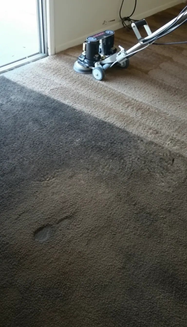 Rotovac carpet cleaning in Lacey