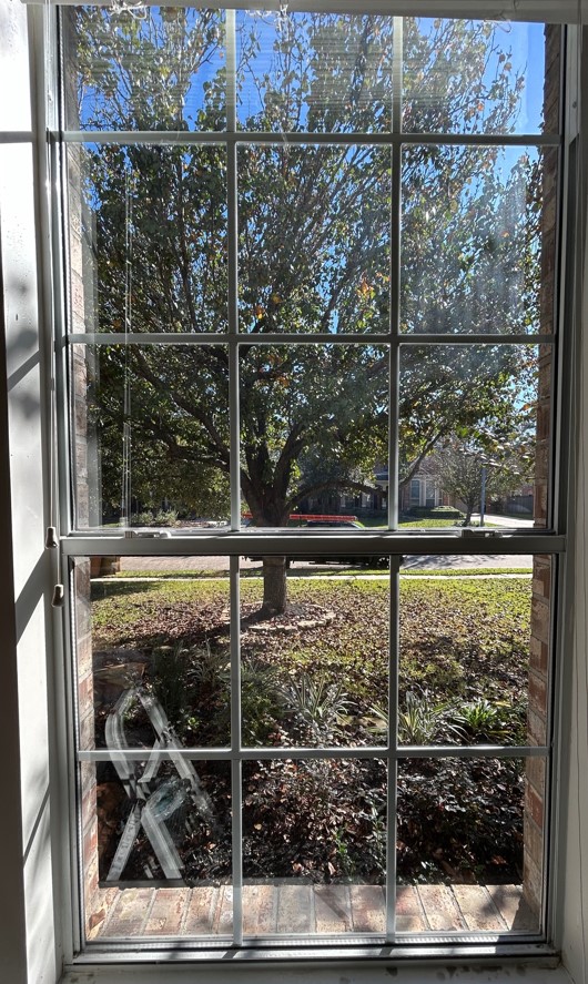Window that has been cleaned
