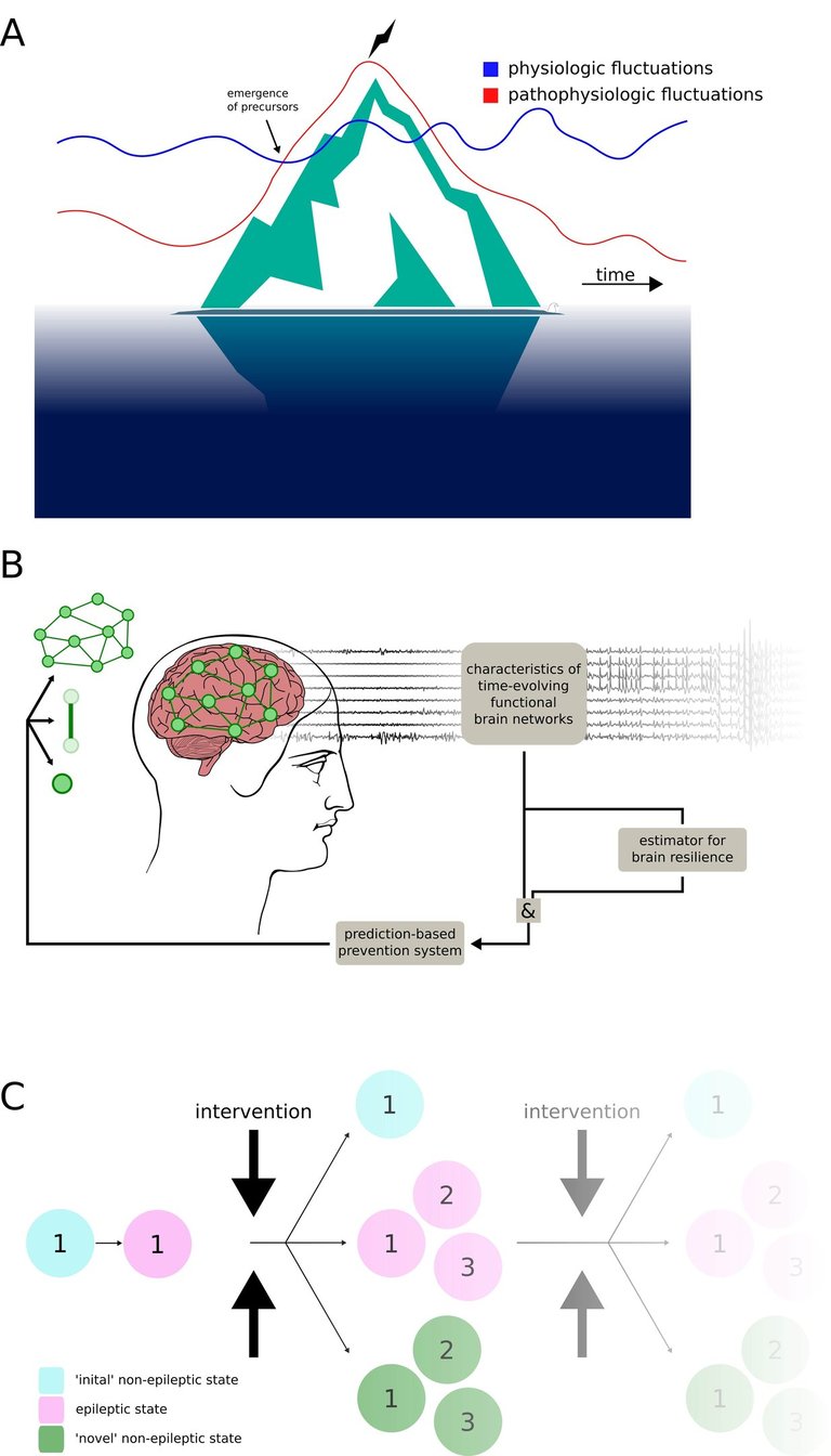 Epileptic-network-based prediction and control of seizures in humans