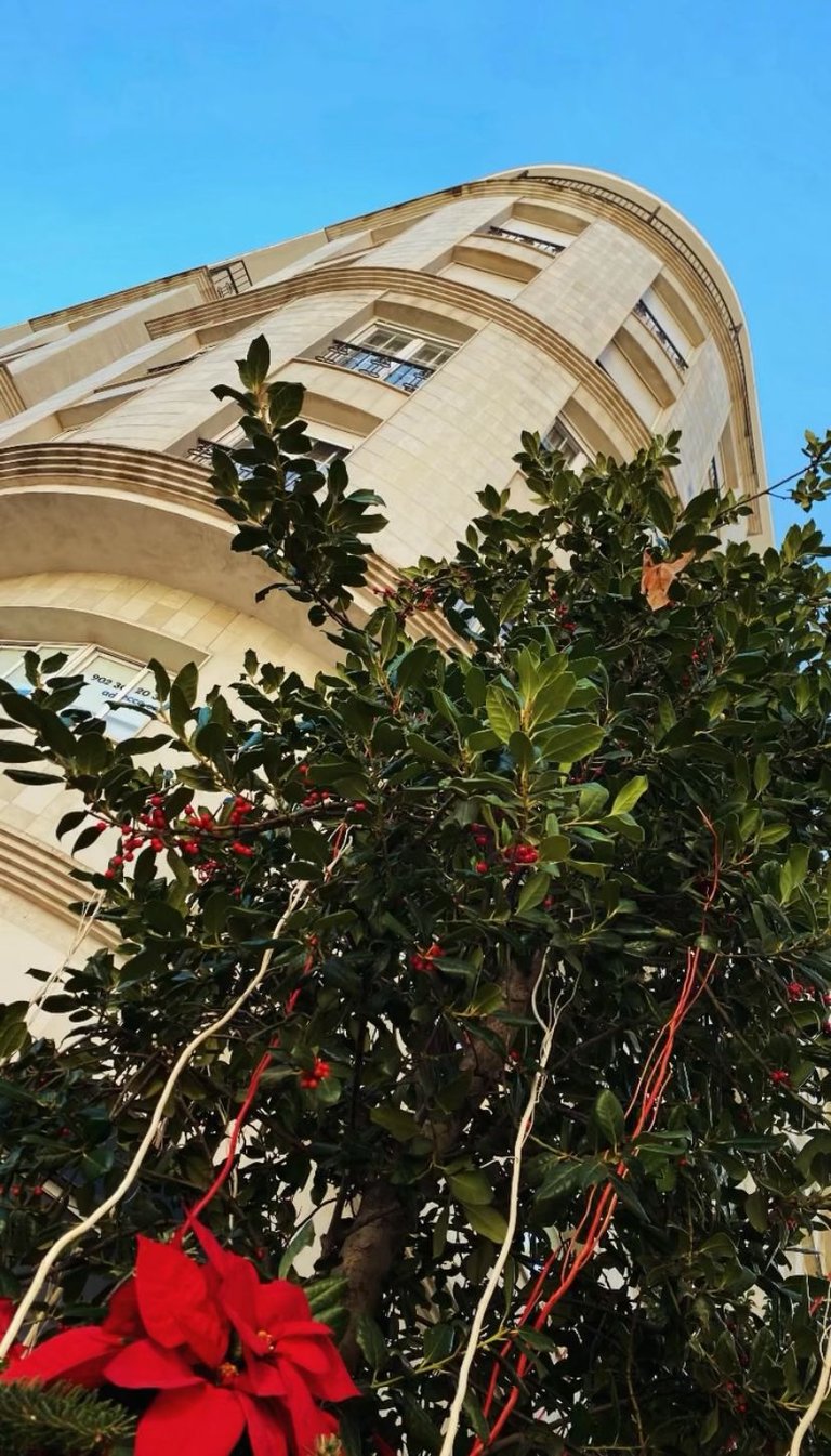 Jaen centro l Asociación de vecinos Calle Navas de Tolosa Jaen centro