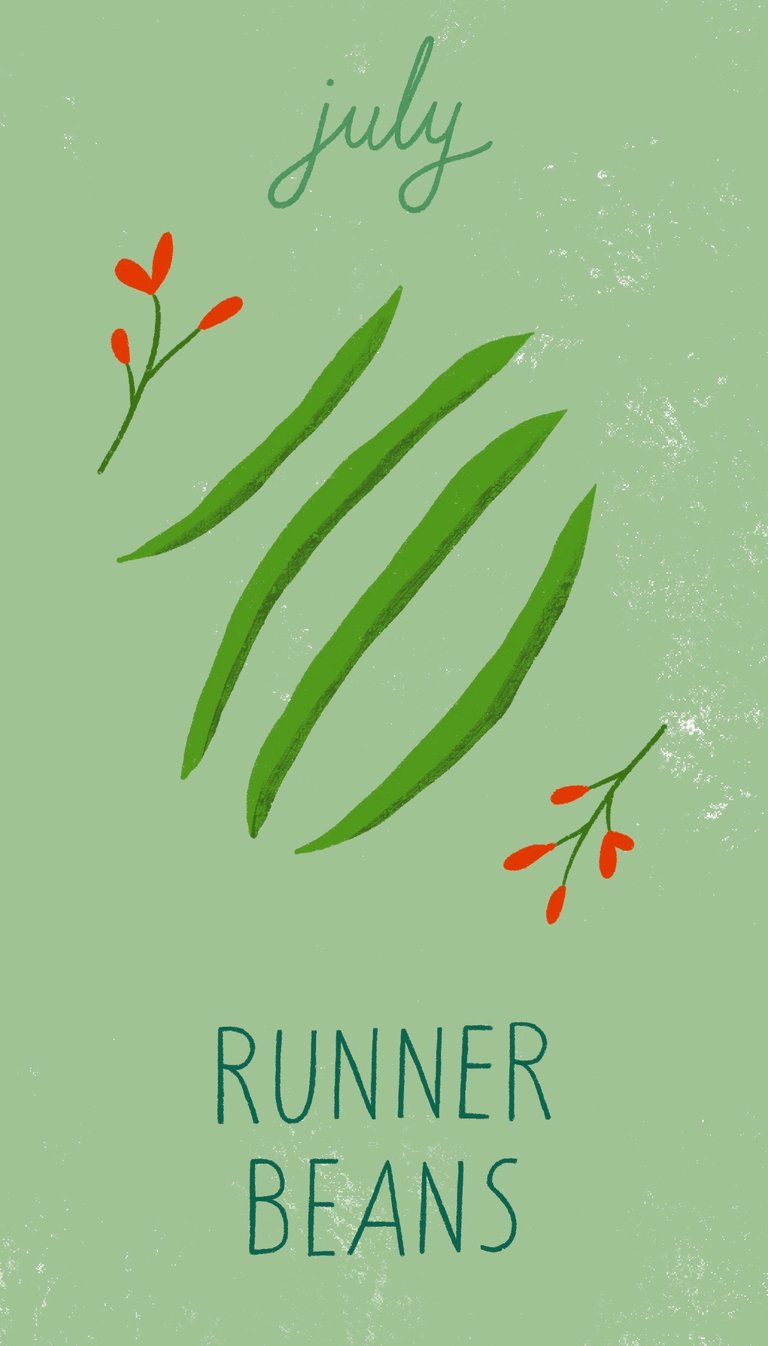 July illustration shows flowering runner beans on a green background.