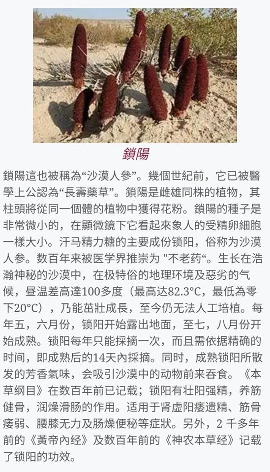 a page in a chinese magazine with a picture of a bunch of flowers