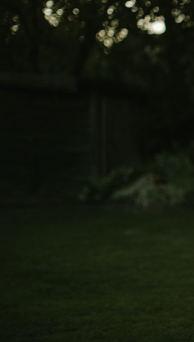 labai tamsios žalios spalvos fonas