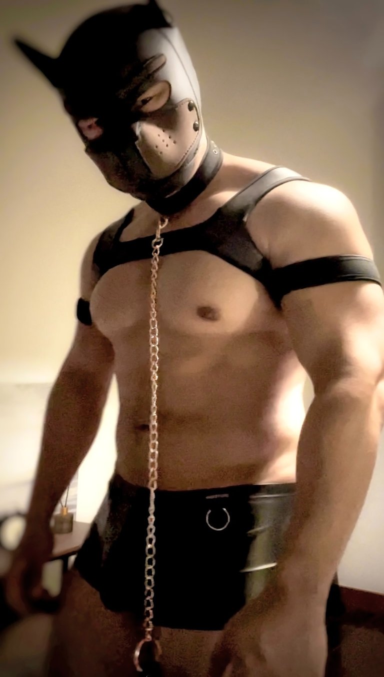 A shirtless man in a pup mask and leash.