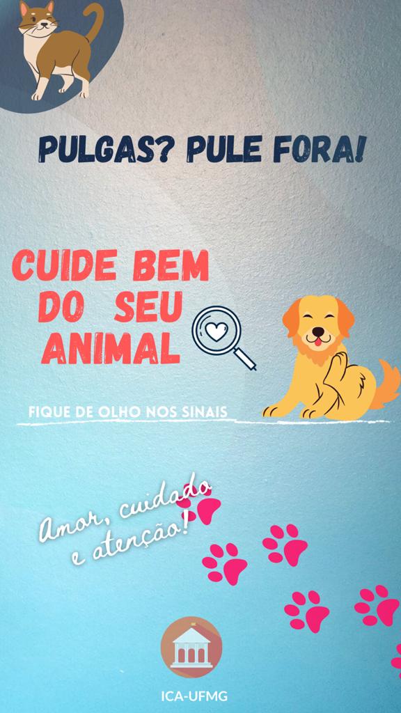 Pulgas campanha