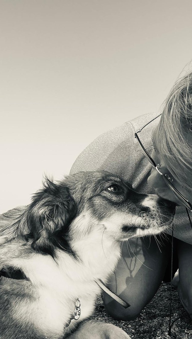 liefdevolle verbinding tussen hond en vrouwtje