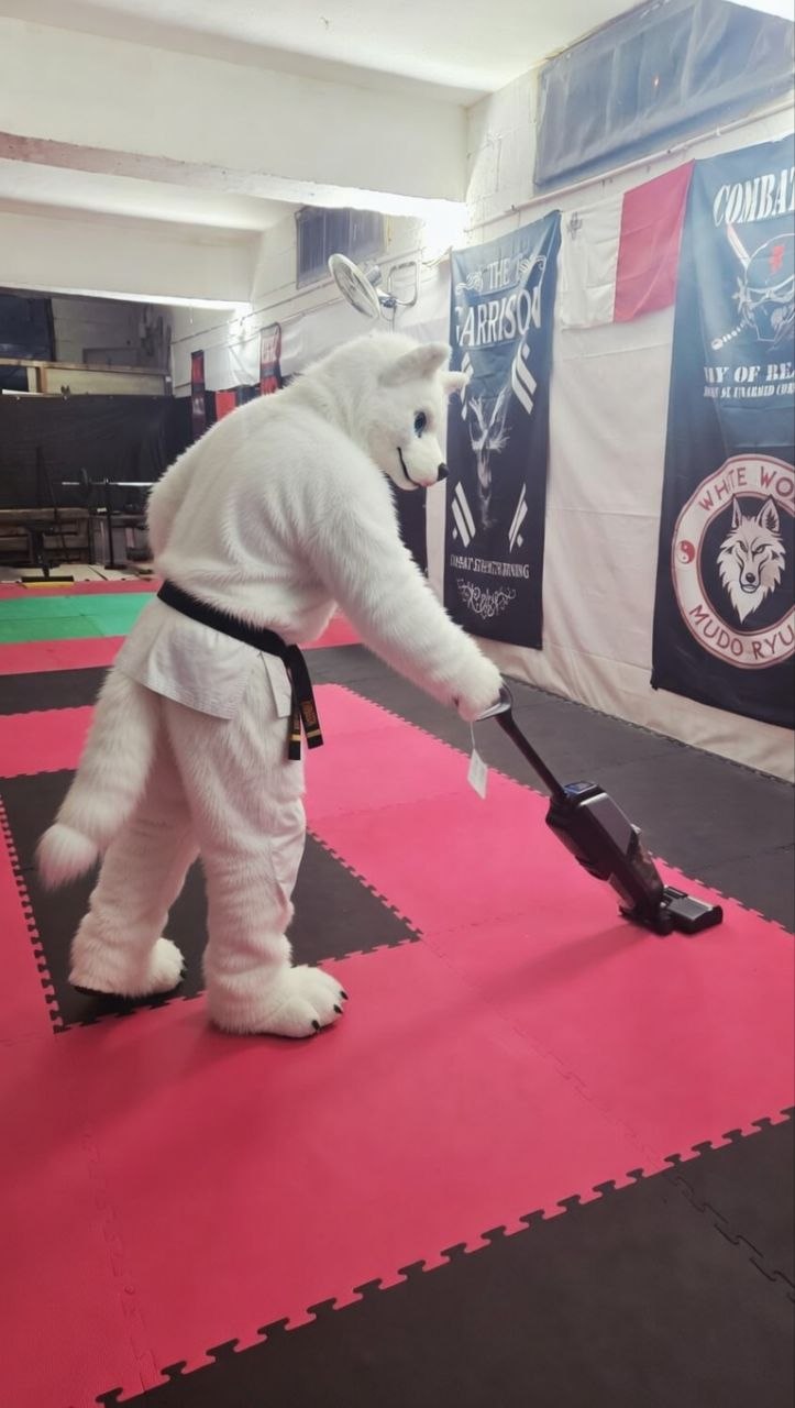 White wolf fursuit wearing a black belt martial arts gi vacuuming red mats in a dojo.