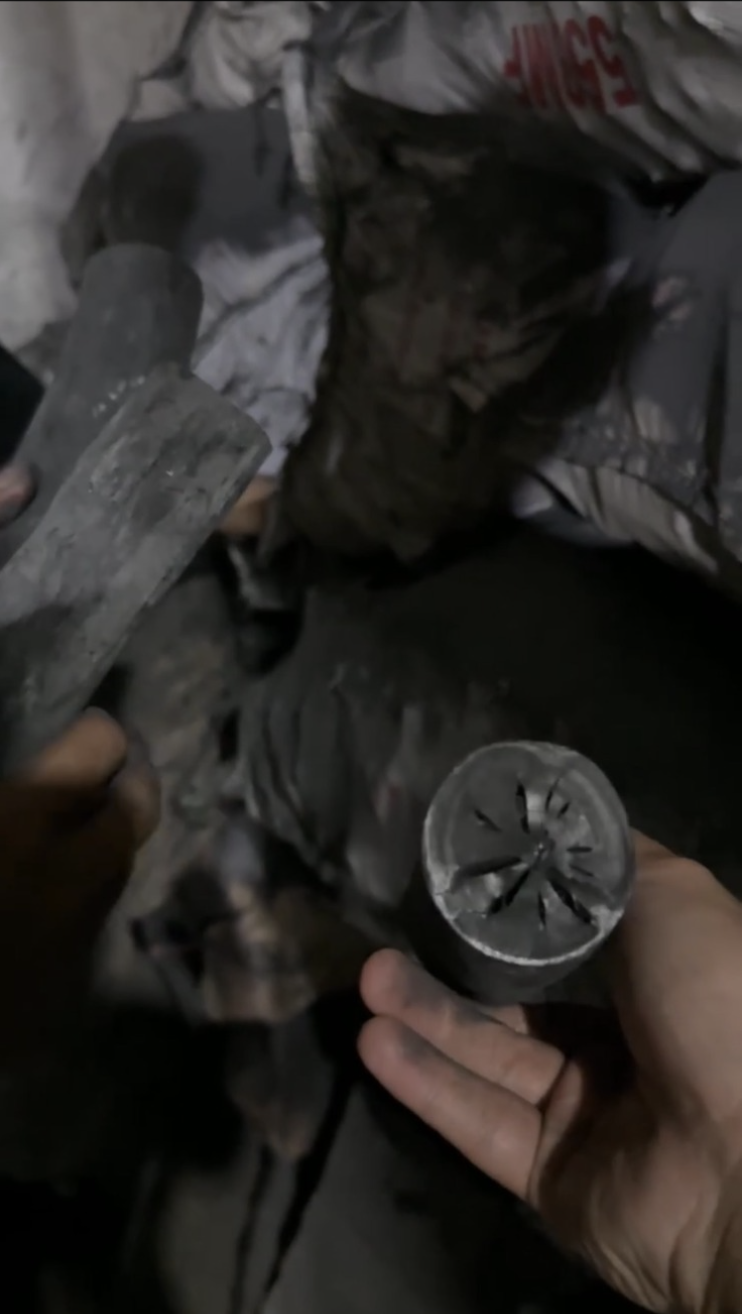 Eucalyptus White Charcoal Binchotan