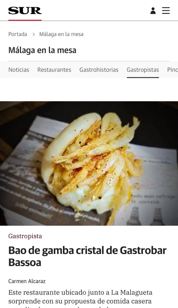 publicación del diario sur