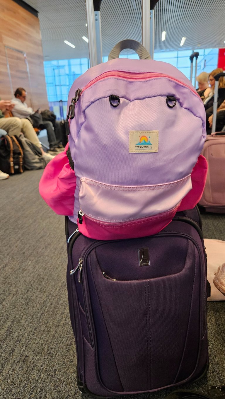 TravelPro Carry-on luggage packed for international family travel to Europe