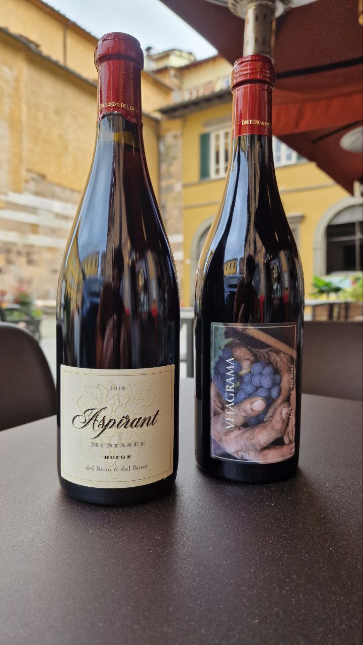 Aspirant e Vitagrama Casa Caterina Del Bono per carta vini