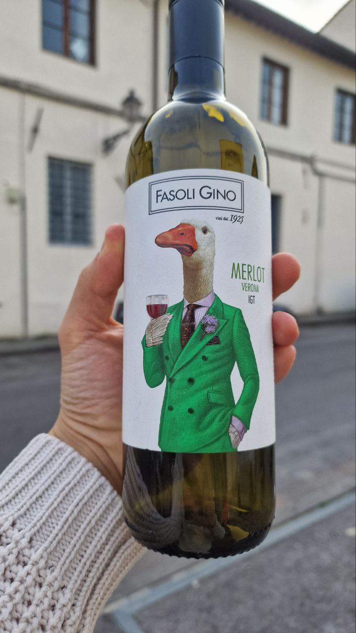 Merlot vino biologico vegan Fasoli Gino per wine bar