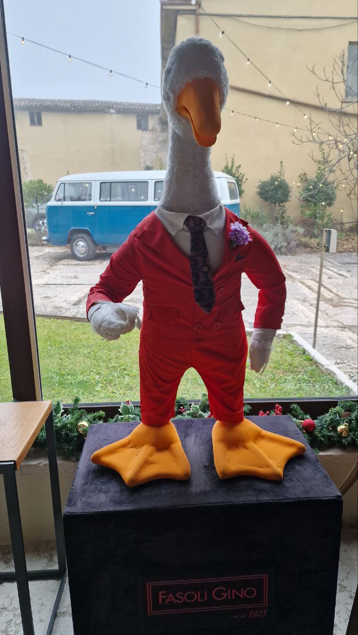 Mascotte Fasoli Gino, Apollo