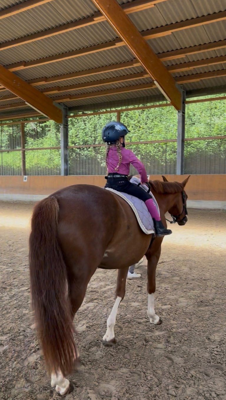 A young girl wearing a helmet and pink shirt riding a chestnut horse. Ponytante