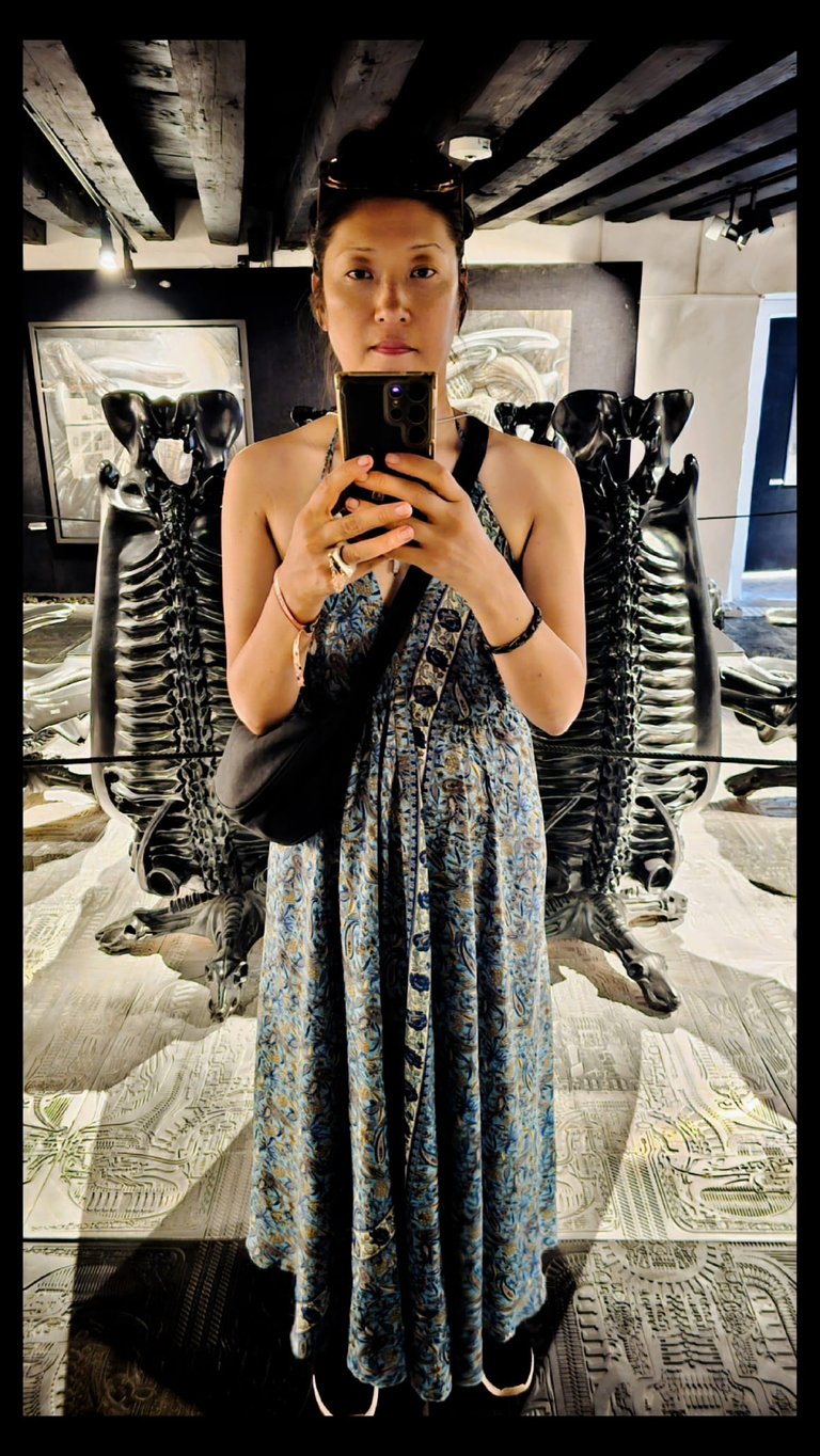 Alien Dining Room and Dinint Set photographed by Nikoru