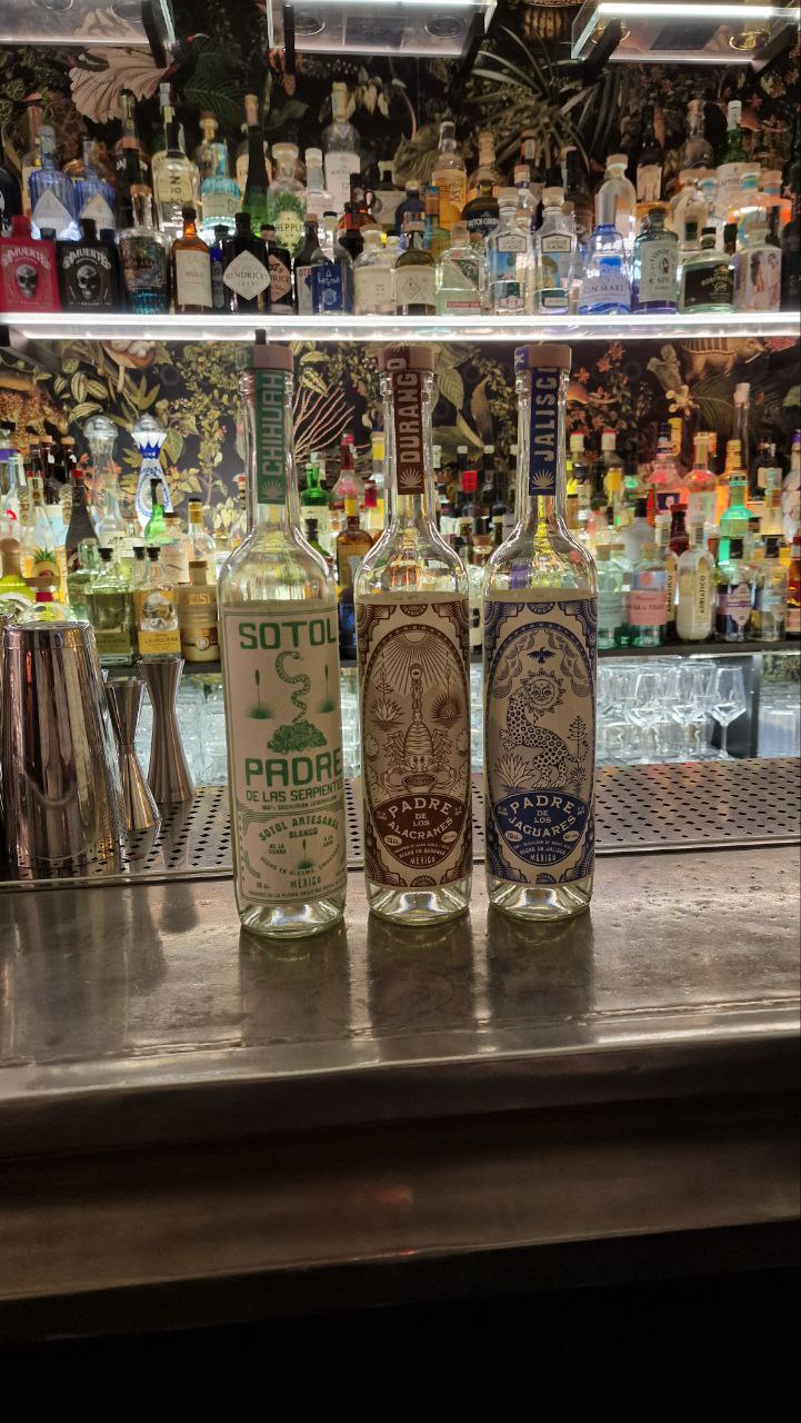 Distillati ancestrali messicani Mezcal Sotol Terra Wild Spirits per Mixology