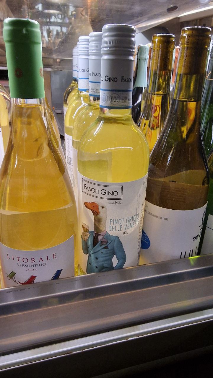 Pinot grigio delle Venezie Fasoli Gino biologico vegan per wine bar ristoranti 