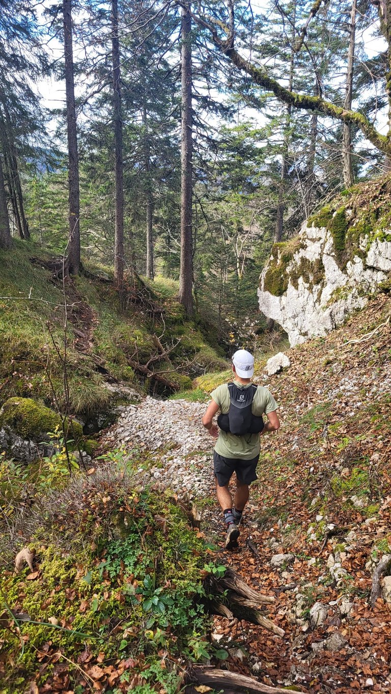 Myphysiocoaching court dans la foret