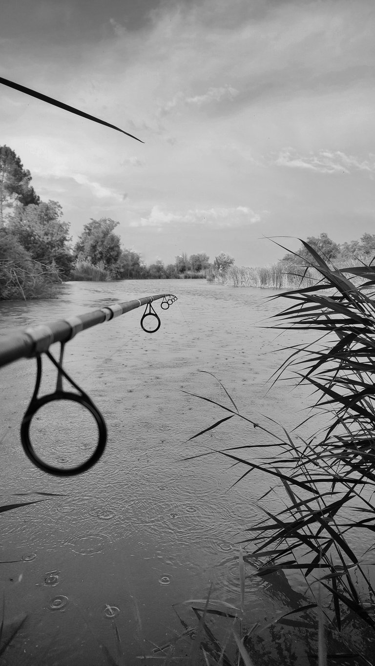 ChatGPT Plus A beautiful image of a river with a fishing rod pointing towards the horizon while rain