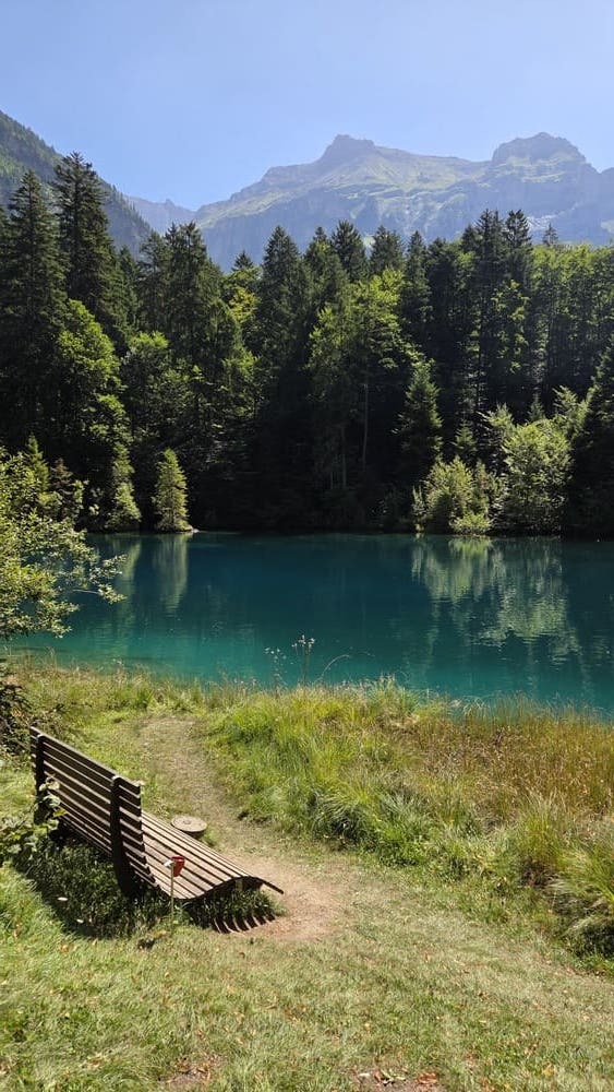 nature bench in front of a lake