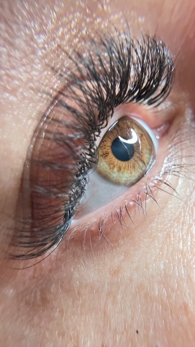 Lashes in Elig Beauty Salon by Daylin.