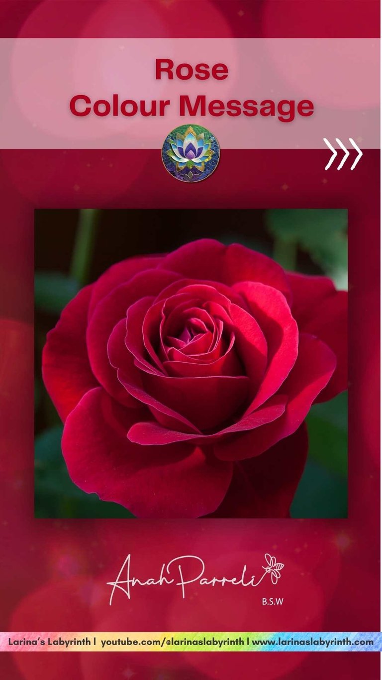 Colour Messasges: Power of the colour Rose. Colour Healing. Color healing.