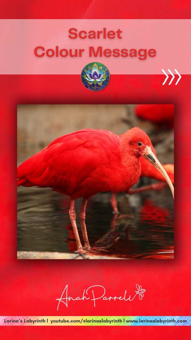 Colour message: Power of Scarlet Red. Colour Healing, Color Healing