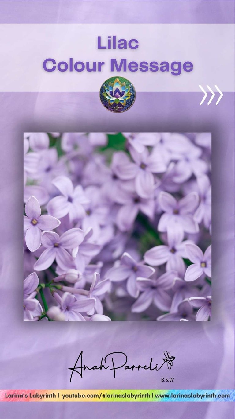 Colour message: Power of Purple Lilac. Colour Healing, Color Healing