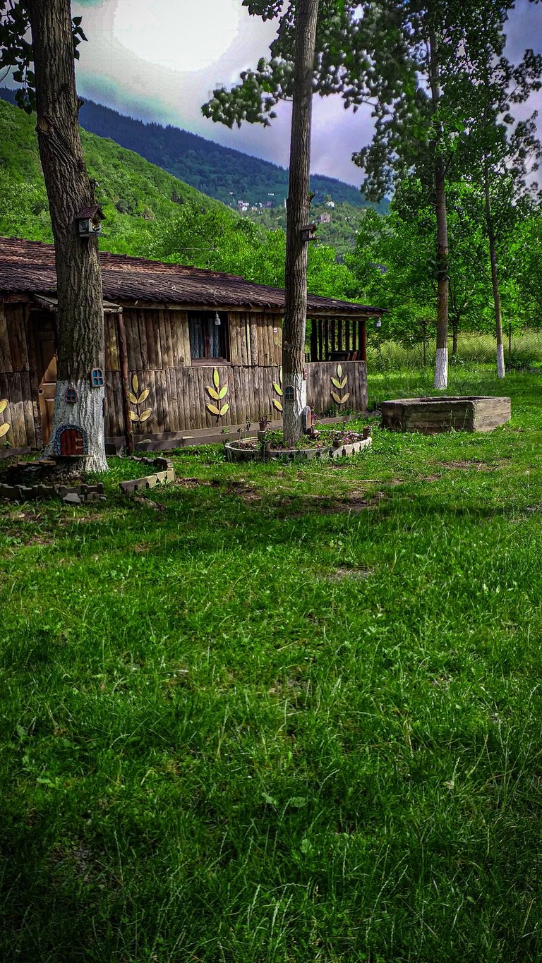 Trabzon Kamp Alanı