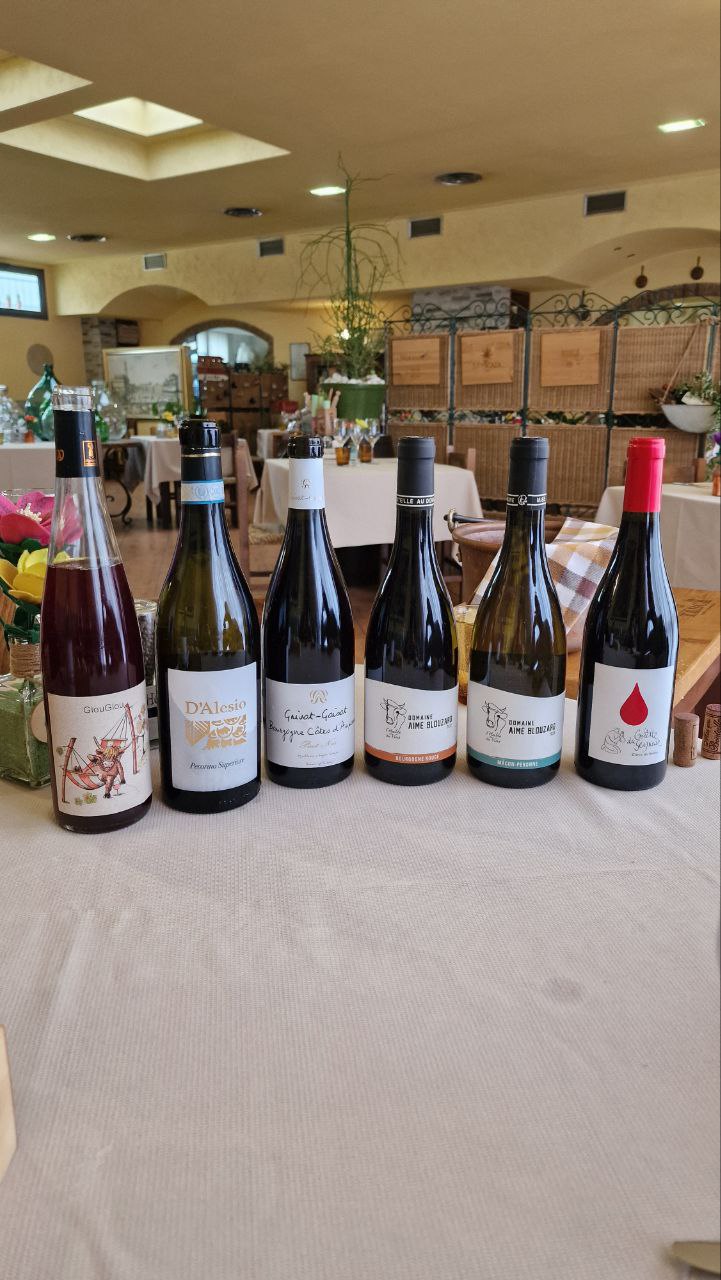 Selezione vini francesi d'Alesio distribuzione Chardonnay Borgogna, Pinot Nero, Granache, Syrah