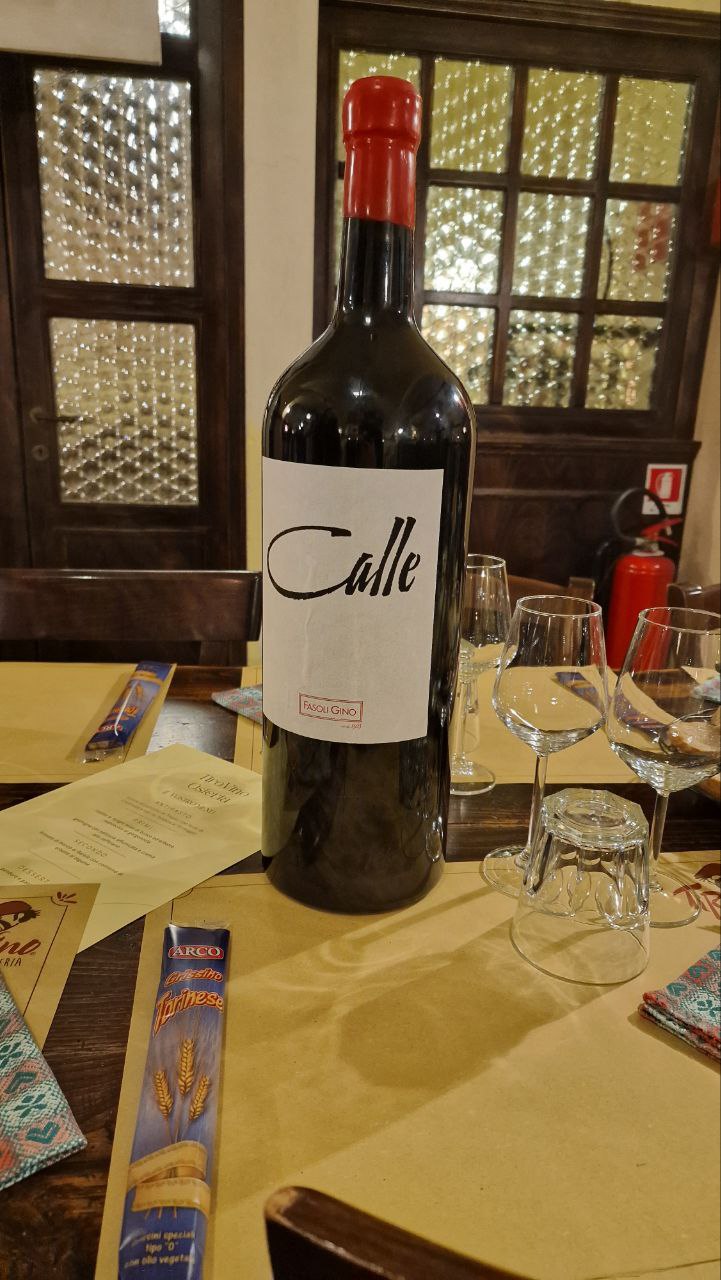 Merlot Veronese Fasoli Gino vino biologico vegan per carta vini