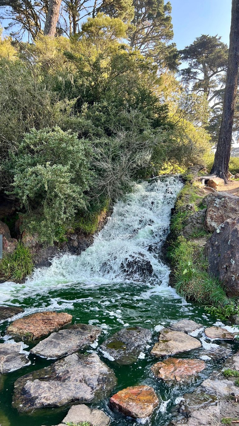 A small but enchanting waterfall near the Portals of the Past in Golden Gate Park