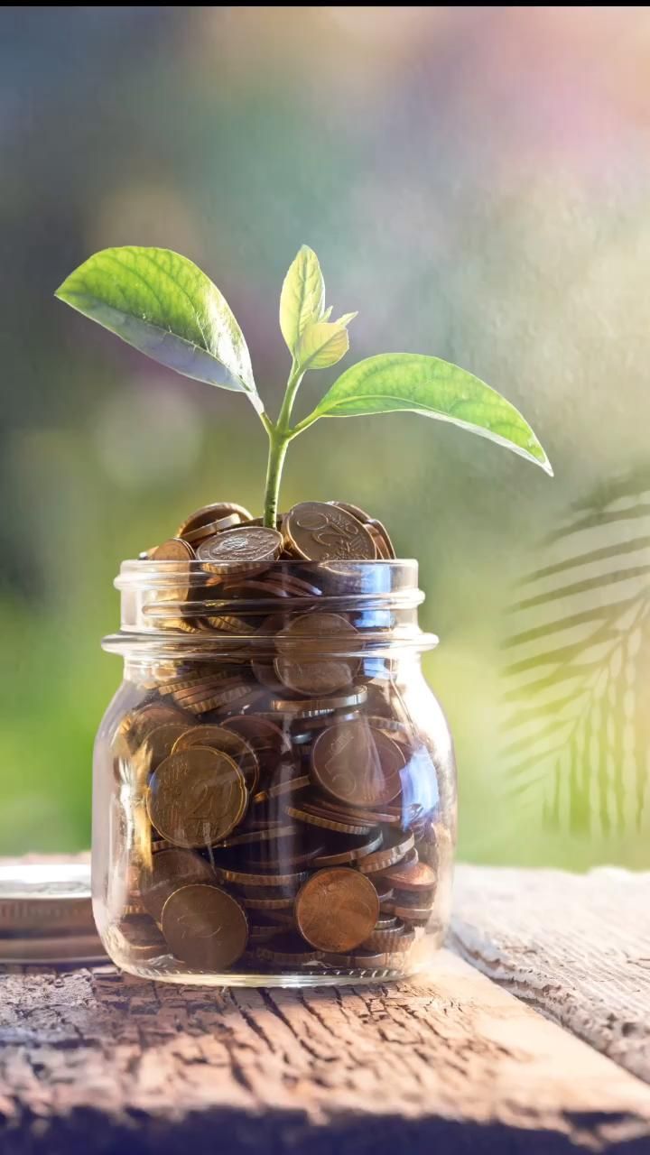 wealth & growth