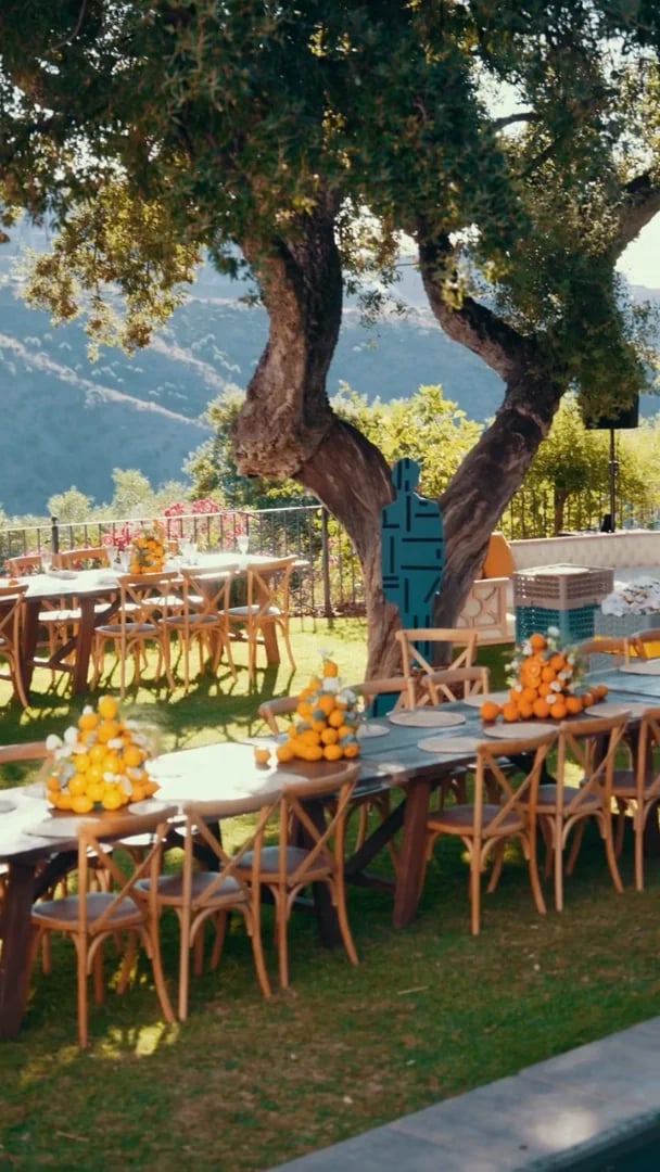 Long wooden banquet table beneath oak trees