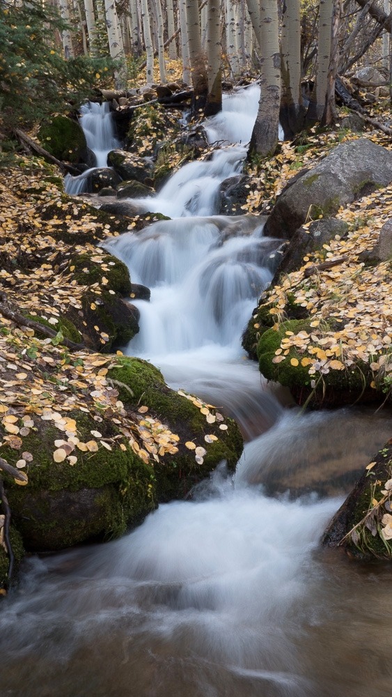 waterfall with flowing water and golden leaves on the banks of the river. relaxing and peaceful