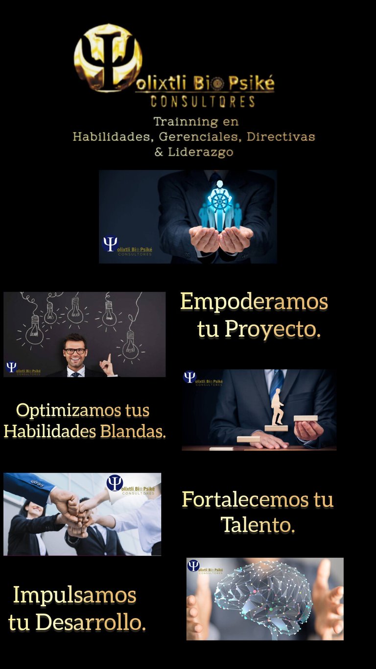 Sugerencia de Capacitaciones y training para el talento de la Organización.