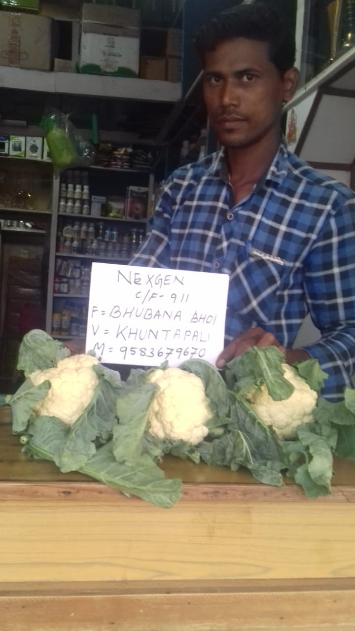 A man displaying three fresh Nexgen cauliflower heads with green leaves at an agricultural market stall.
