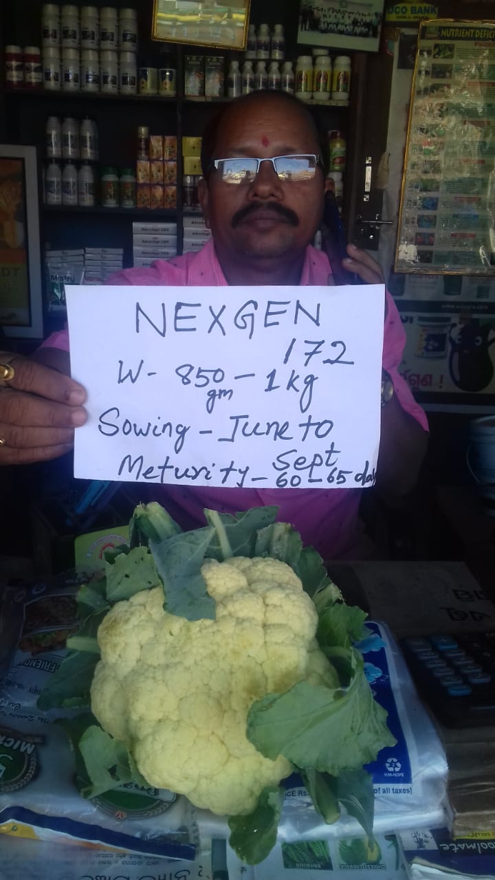 A man displaying a fresh Nexgen 172 cauliflower variety with harvest and sowing details on a sign.