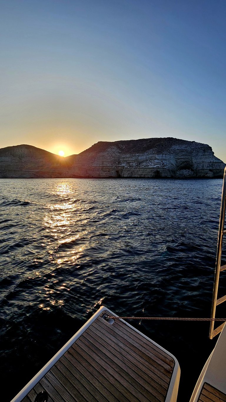 Boar trips Almeria
