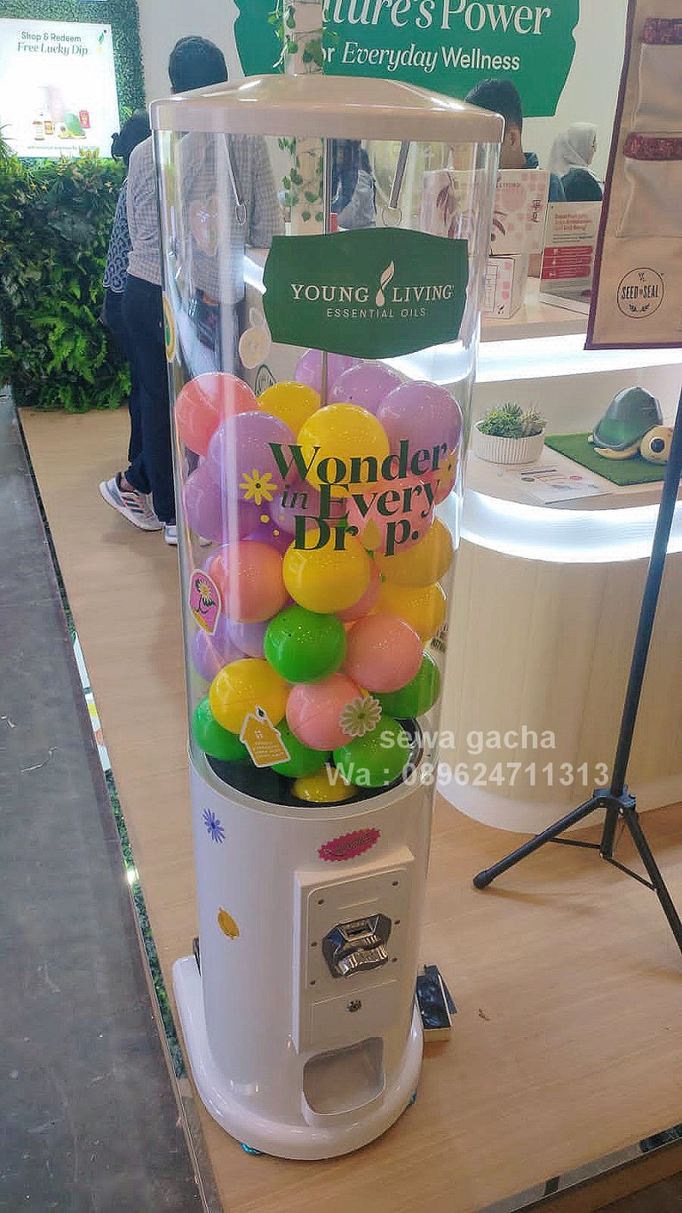 sewa mesin gacha gachapon surabaya